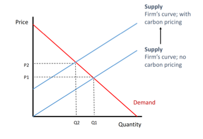 Should a form of Carbon Pricing be introduced in the US?